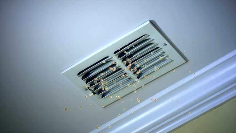 Best Ventilation Cleaning Services  in Afton, MN