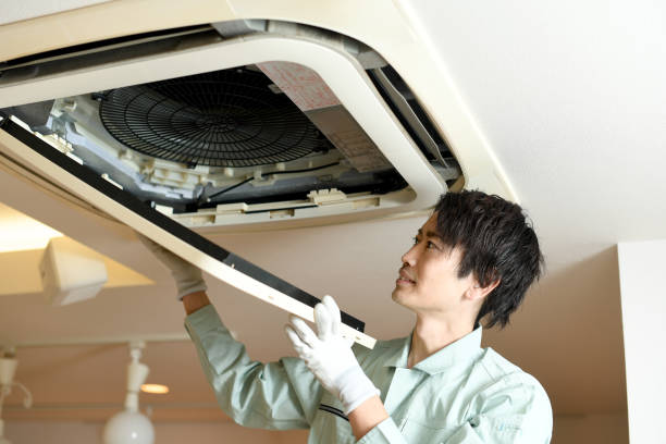 Best Residential Air Duct Cleaning  in Afton, MN