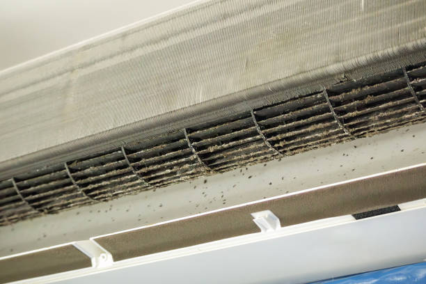 Best Duct Cleaning for Homes  in Afton, MN